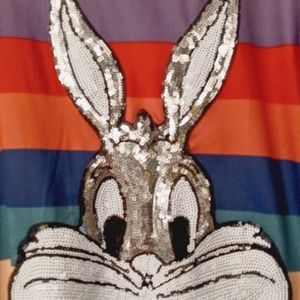 Cute Looney tunes character short dress